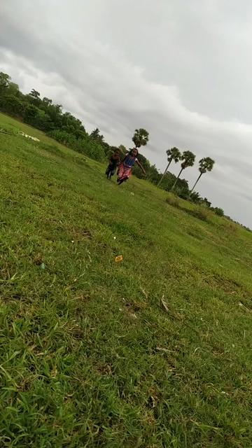@Kanha Champia