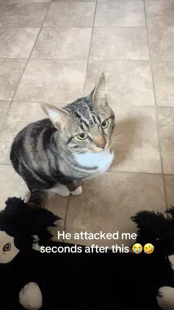 @Taka