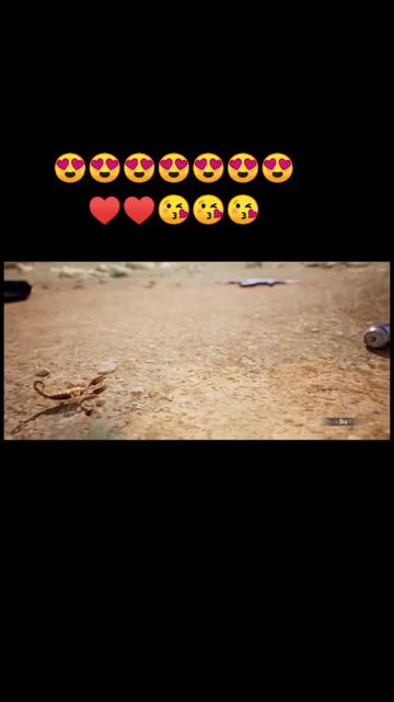 @vijaysinh
