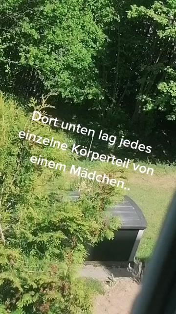 @❤️ Tiere ❤️