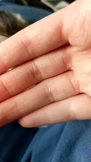 @s4lin3