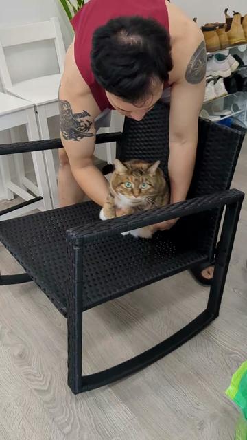 @Miss Mia the Tabby Cat
