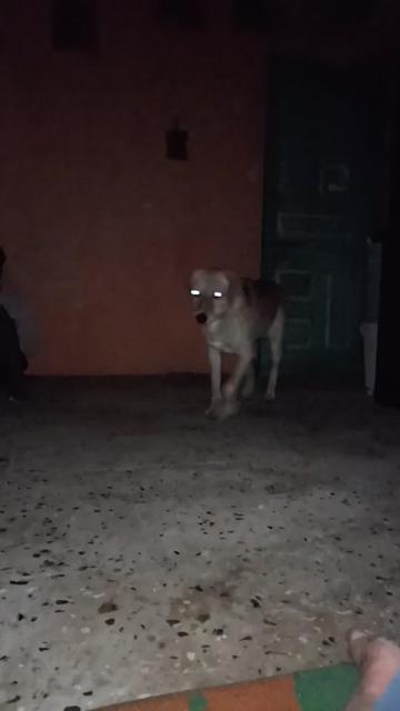@Janmejaychavan 9309