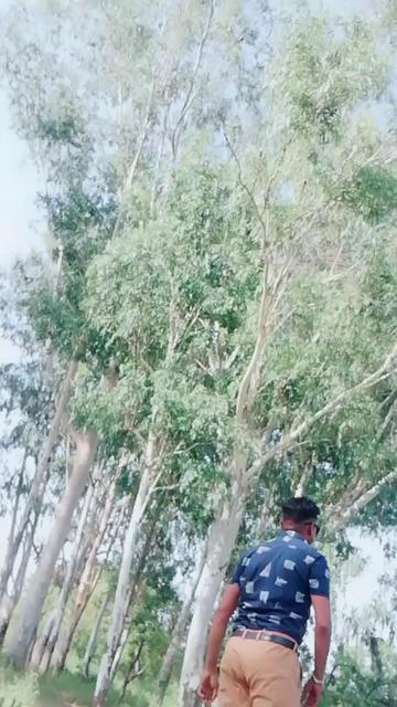 @RANJIT SINGH