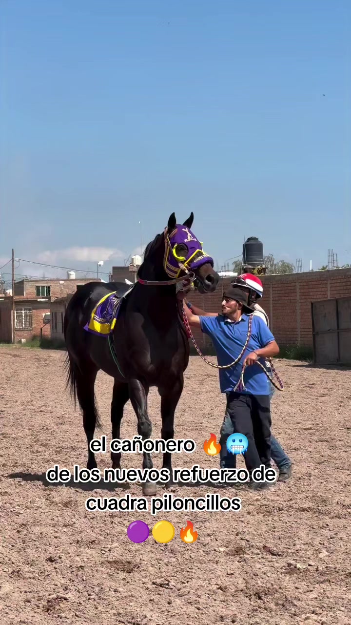 @carriles altos de jalisco🐎