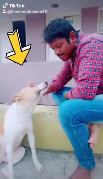 @ತಿಪಟೂರು ಹುಡುಗ ಡಾಲಿ