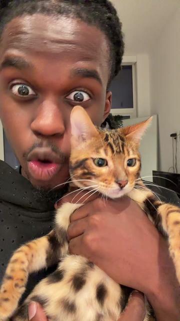@calithekid