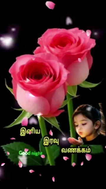 @Sai Meena