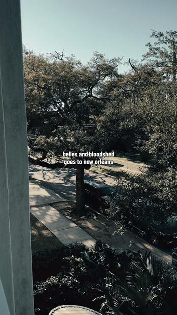 @bellesandbloodshed