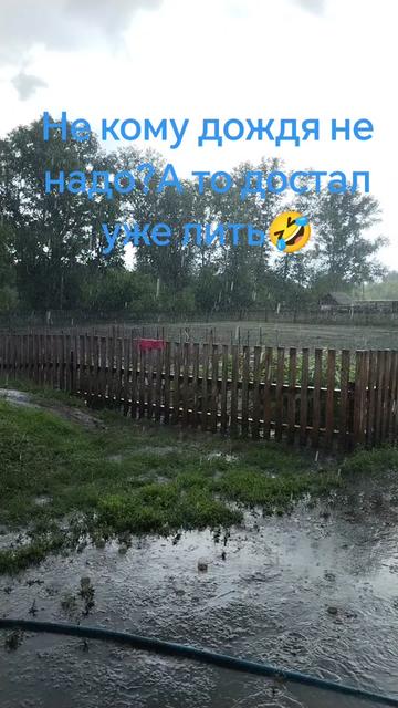 @Галчонок