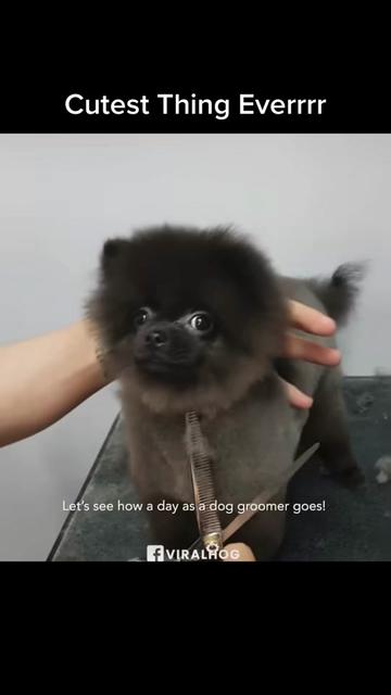 @Keylee Keylee