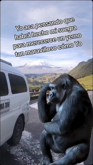 @JuniorManizales
