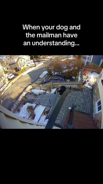 @Ivy the Berner
