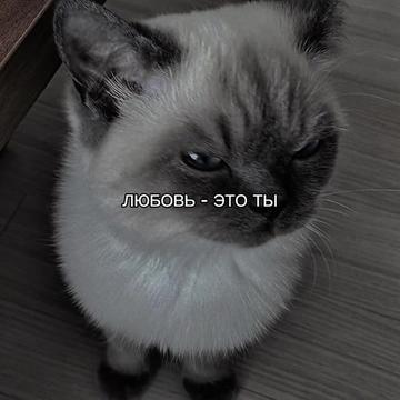 @ХХИКА