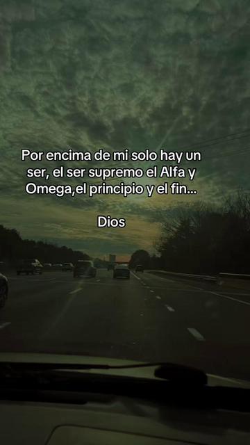@sindyflores730