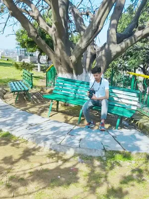 @彡