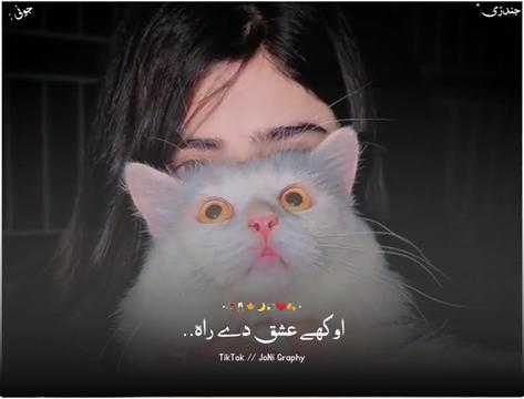 @°جونـــــی٘𓇢𓆸