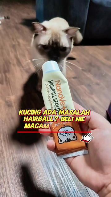@Norazrena | Racun Tiktok