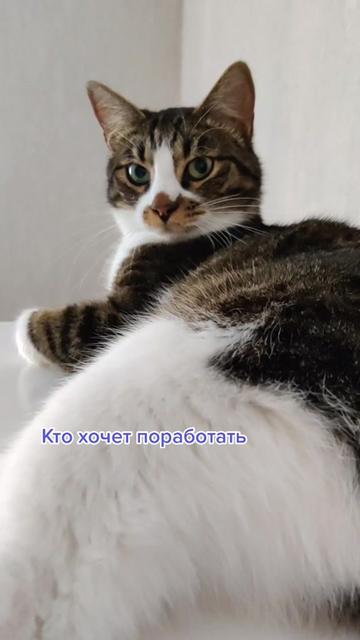@Miki Мики