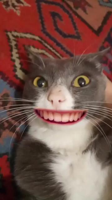 @Я саса 😃😃😃