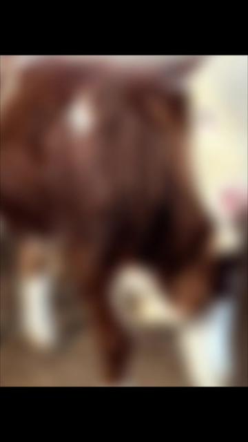 @𝐄𝐦𝐫𝐞 𝐀𝐲𝐫𝐤