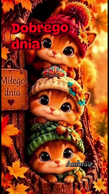 @Ambra@