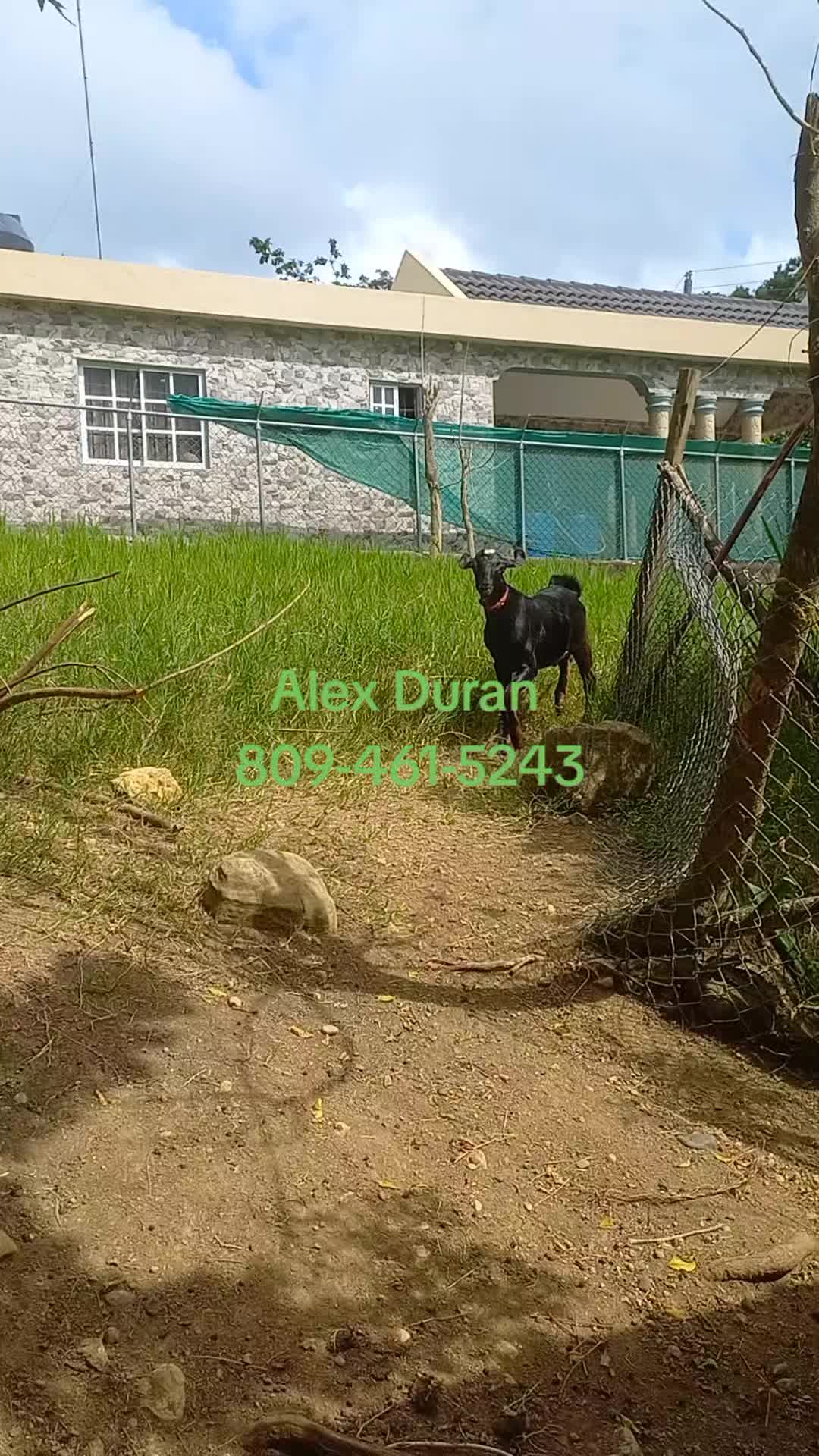 @alexduran7558