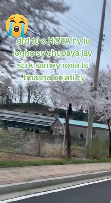 @jani jani