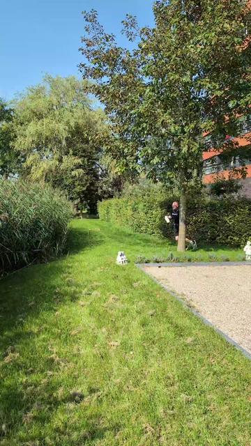 @Joost Bouhof