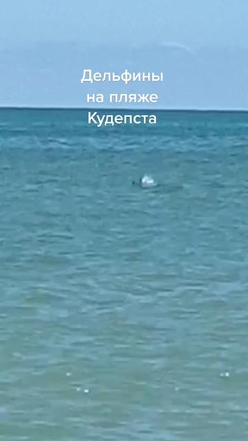 @Отдых Дикарями