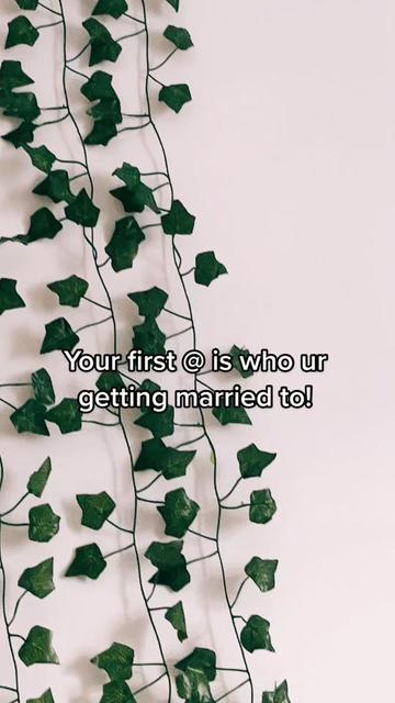 @sksvibezzz
