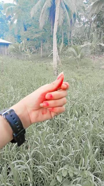 @&hearts;╣[-Jm-]╠&hearts;
