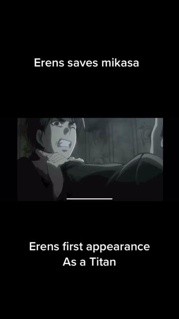 @Attack On Titan fans (sub/dub)
