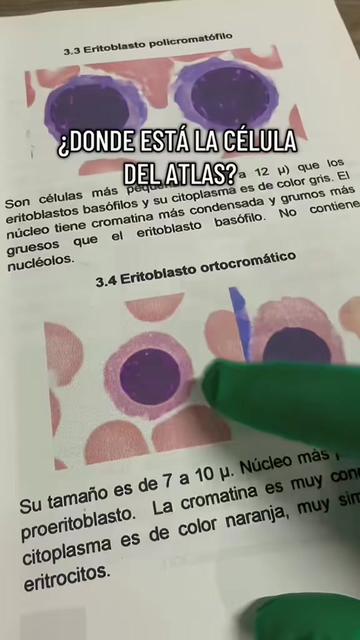 @ALab 🔬💉🩸