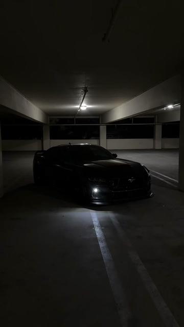 @alt_pony