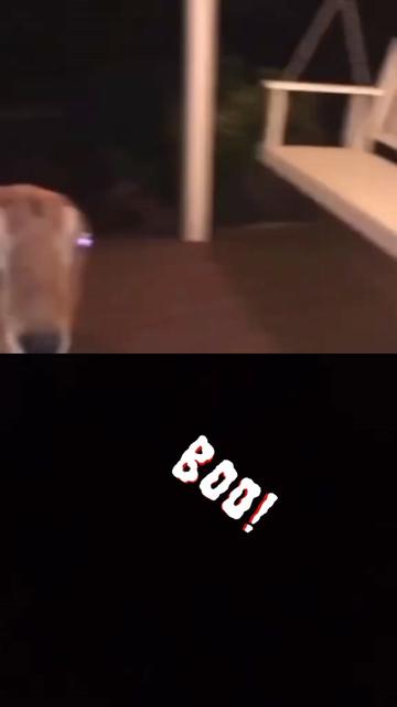 @ec