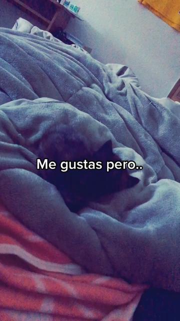 @nsqueweaponer._