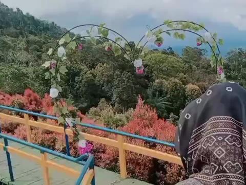 @Pengok new