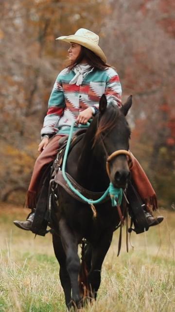 @Rachel ⚡️ Equine Photographer