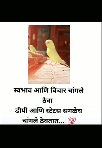 @शिवभक्तSD💥