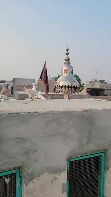 @Kanwal Mahar