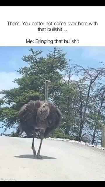@Ms Chris