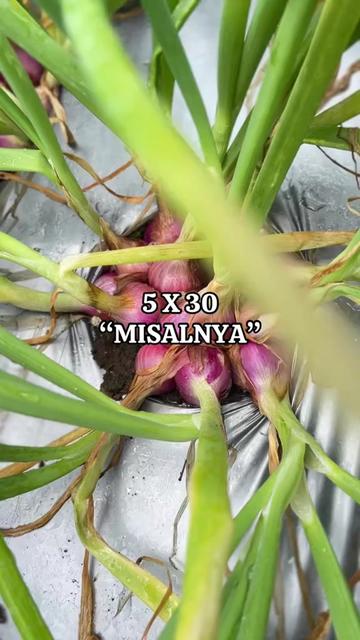 @nanda_setiawan_