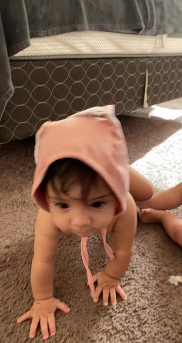 @evelyntellez506