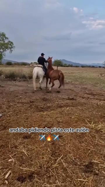 @carriles altos de jalisco🐎