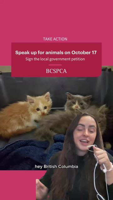 @BC SPCA