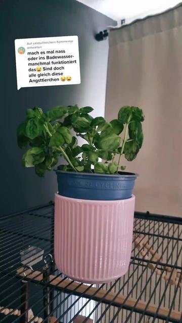 @Cingöz & Friends