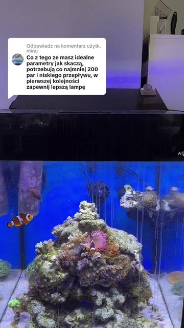 @Aquarista
