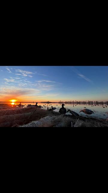 @Trophy Hollow Outfitters