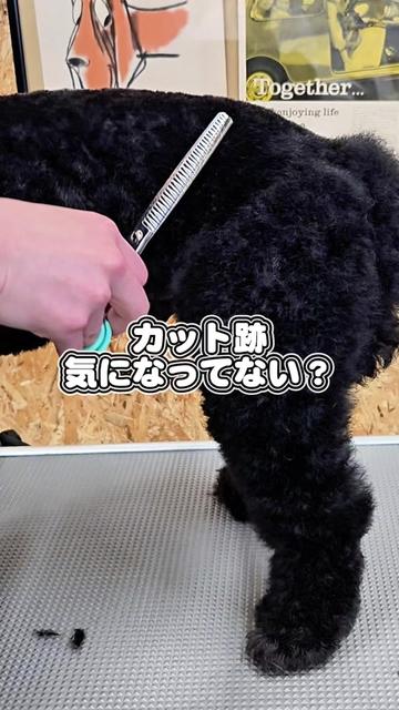 @Svans（スバンス）｜トリマー向けシザー&バリカン専門